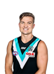 Ollie Wines profile picture